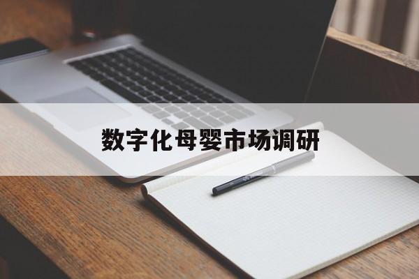 南通市数字化母婴市场调研(数字化母婴市场调研报告)